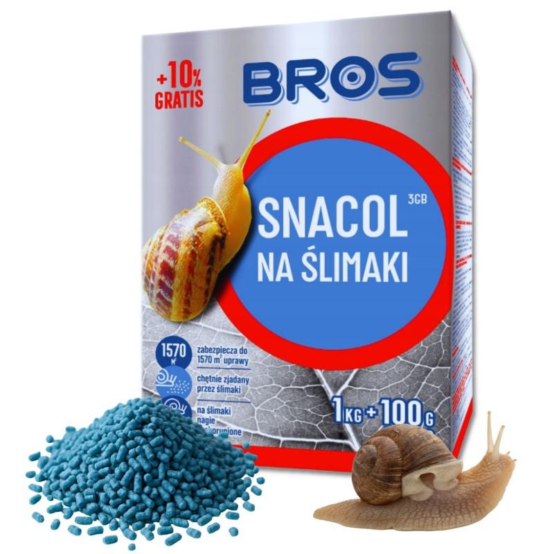 Aromaty w ogrodzie przeciw szkodnikom