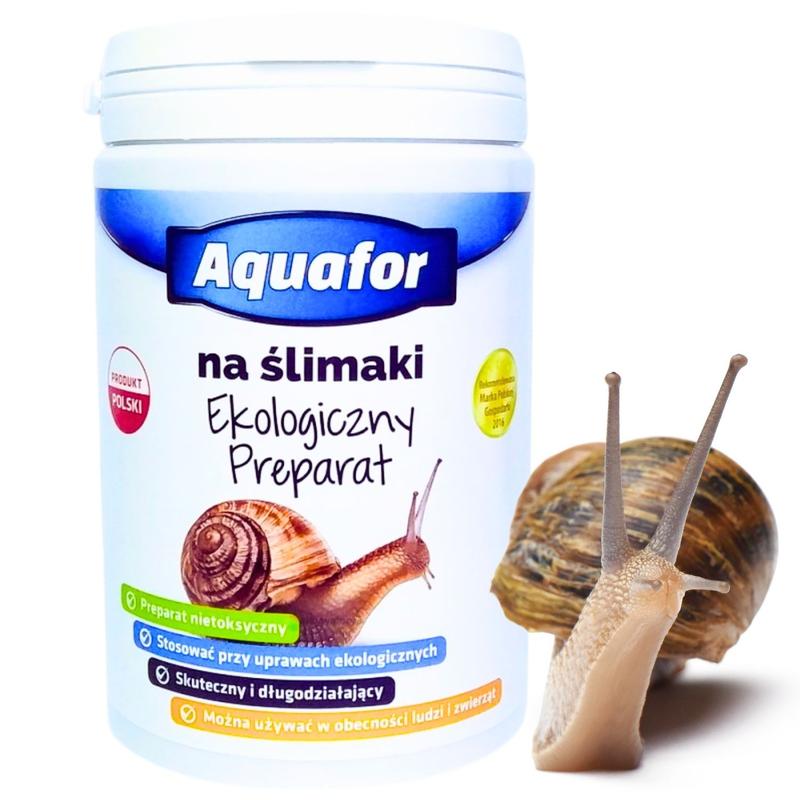 Ekologiczne sposoby na ślimaki