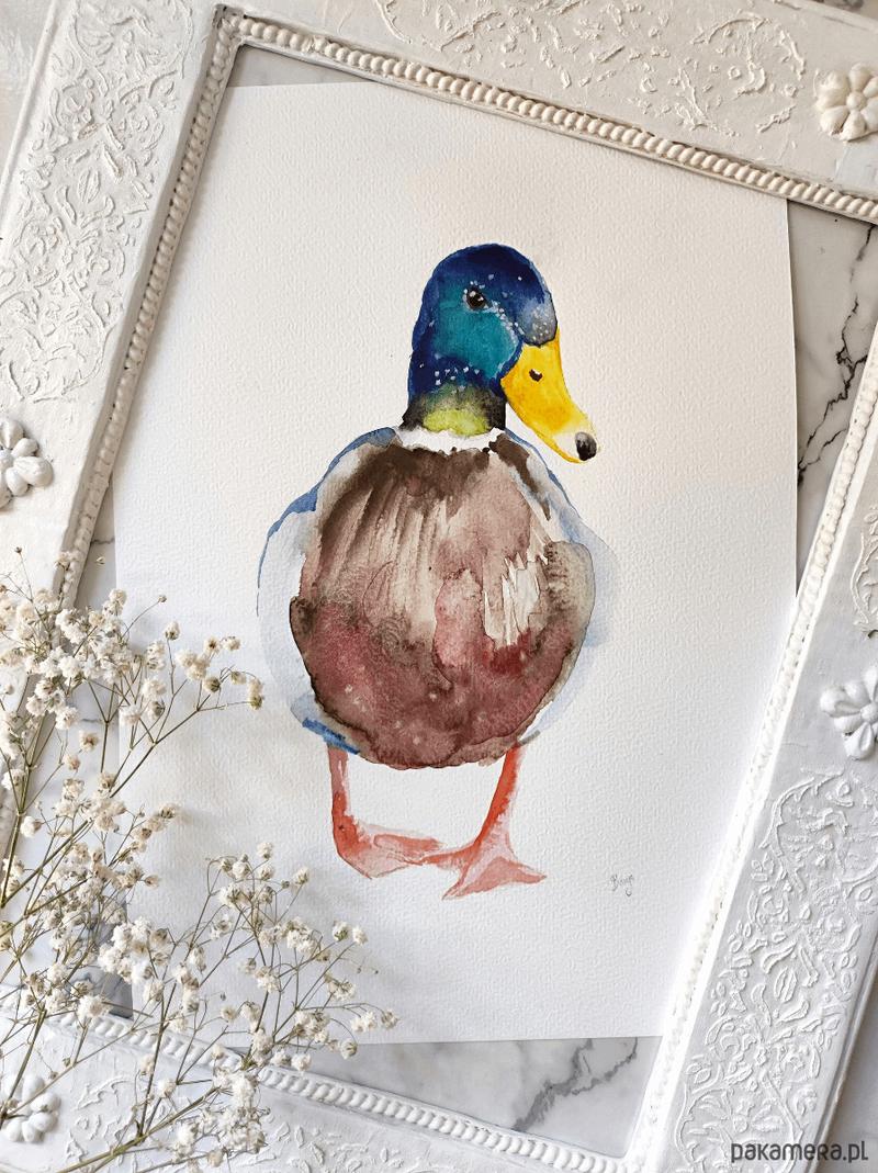 Jakie jabłka do kaczki