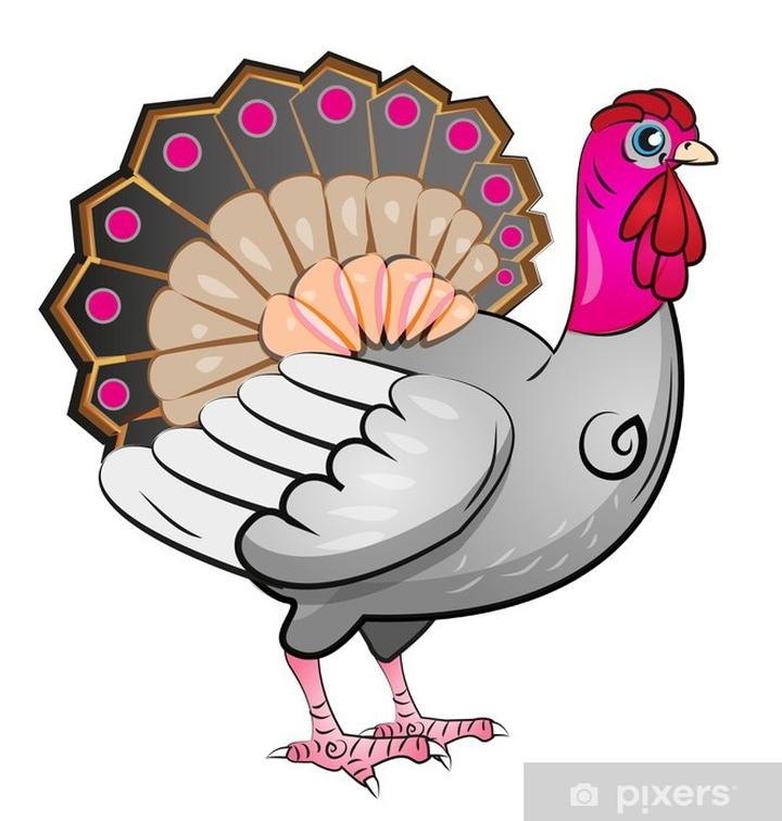 Temperatura i czas smażenia indyka