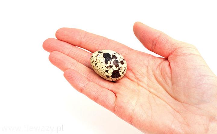 Zalety jajek przepiórczych w diecie