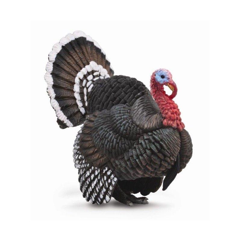 Jak długo smażyć indyka, aby był soczysty i pełen smaku?