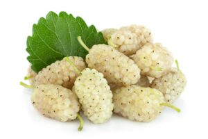 Odkryj smak morwy białej – wyjątkowa słodycz w Twojej kuchni