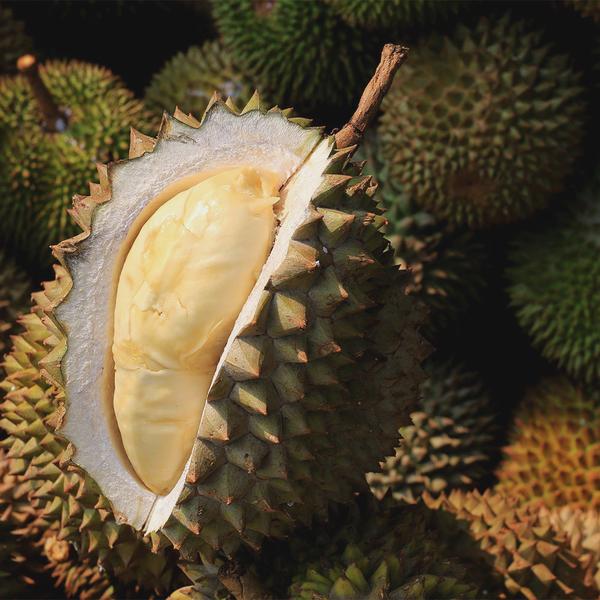 Durian owoc